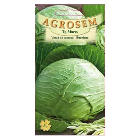 Seminte varza de toamna - Buzoiana, Agrosem 4Gr.