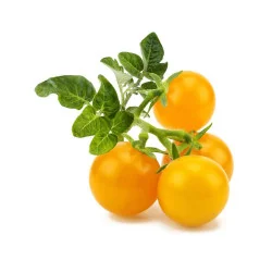 Seminte de tomate - Yellow Cherry, Agrosem 4Gr.