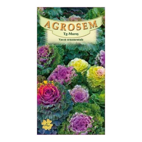 Seminte de varza ornamentala, Agrosem 4Gr.
