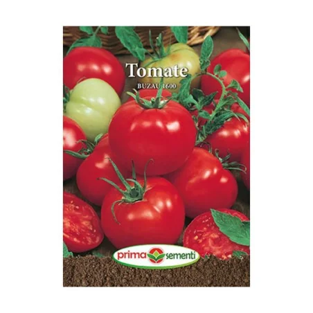 Seminte de tomate Buzau 1600