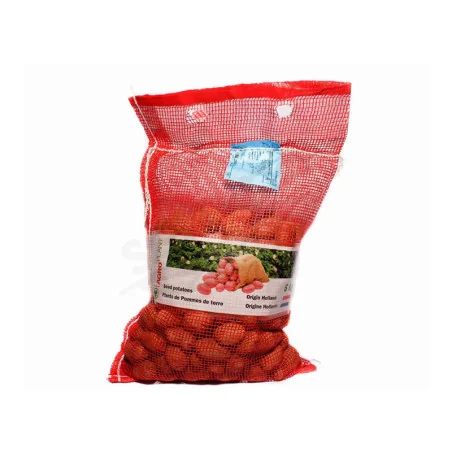 Samanta de cartofi rosu Margarita, 5kg