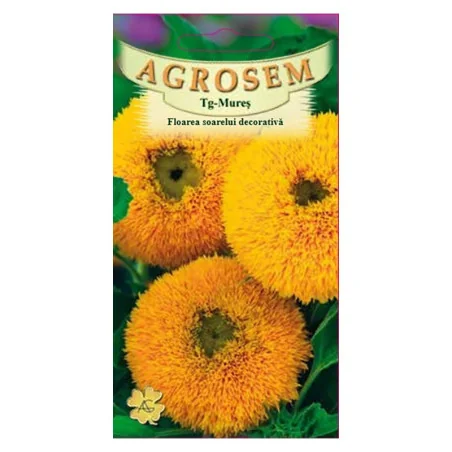 Seminte de floarea soarelui decorativa, Agrosem 4Gr.