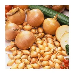 Arpagic Sturon 500G