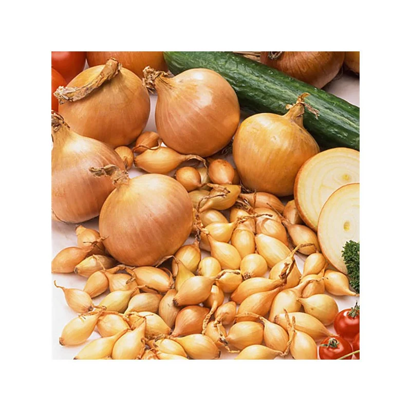 Arpagic Sturon 500G
