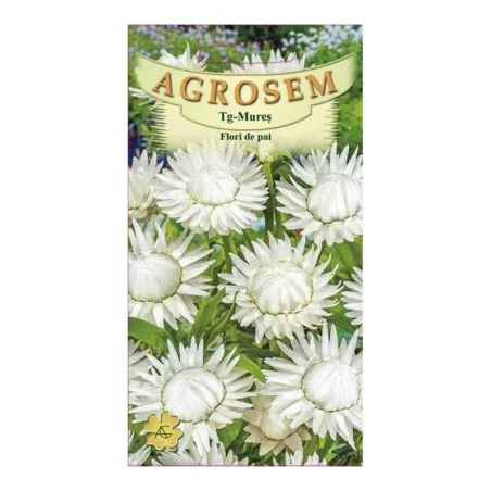 Seminte de flori pai alb, Agrosem 4Gr.