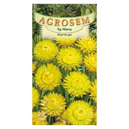 Seminte flori de pai galben, Agrosem 4gr.