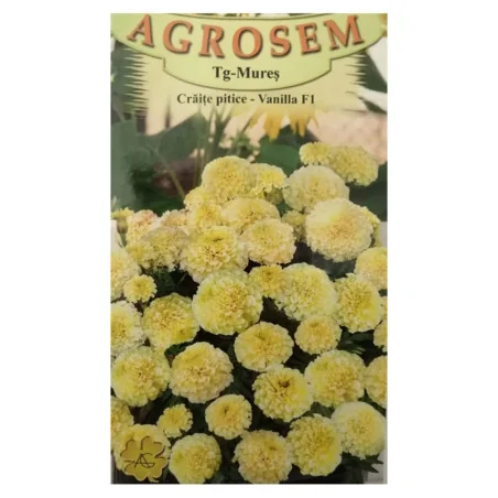 Seminte de flori craite pitice - Vanilla F1, Agrosem 4Gr.