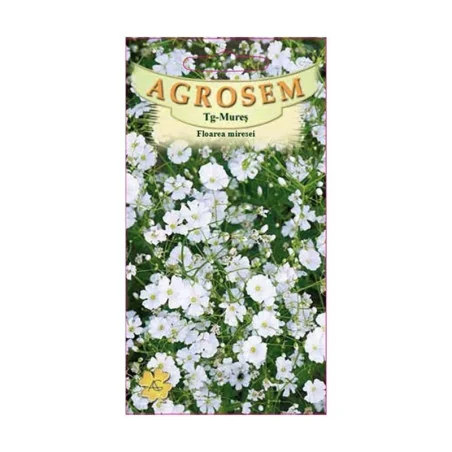 Seminte de floarea miresei, Agrosem