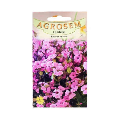 Seminte floarea miresei roz, Agrosem