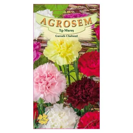 Seminte de flori Garoafe Chabaud culori mixte, Agrosem