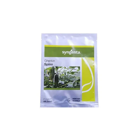Seminte de castraveti Spino, Syngenta 500sem.