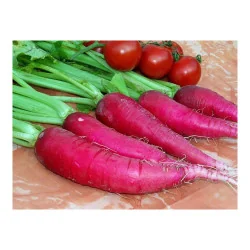 Seminte de ridich de vara - Ostergruss Rosa 4g