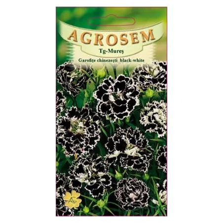 Seminte de garofe chinezesti black - white 0.5g