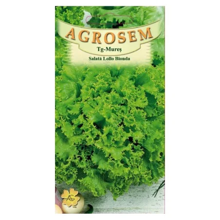 Seminte de salata creata Lollo Bionda, Agrosem 1.5g