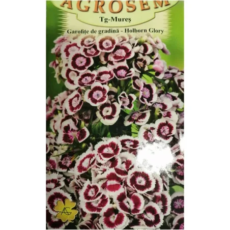 Seminte de flori Garofite de gradina - Holborn Glory, Agrosem