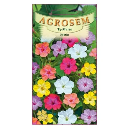 Seminte de flori de Noptite, Agrosem 2gr.