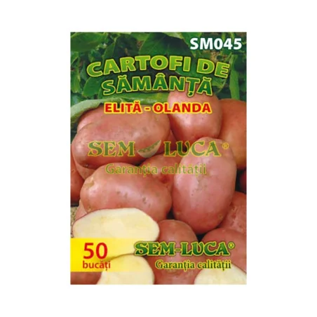 Samanta de cartofi rosii Elita - Olanda, Sem-Luca 50buc.