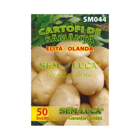 Samanta de cartofi albe Elita - Olanda, Sem-Luca 50buc.