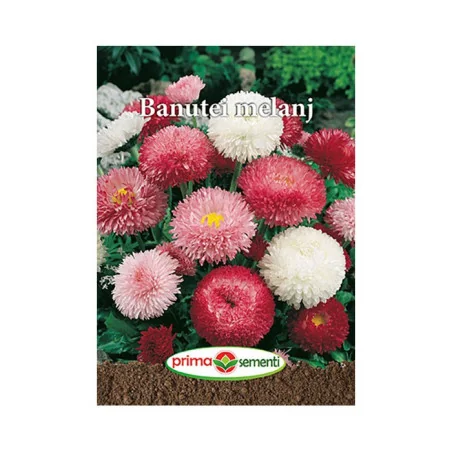 Seminte de flori Banutei melaj, Prima Sementi
