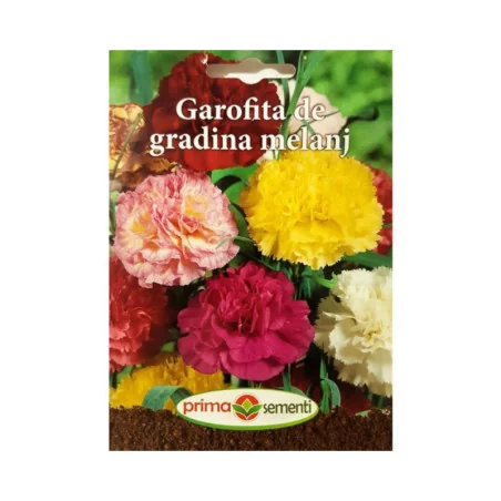 Seminte de flori Garofita de gradina melanj, Prima Sementi