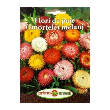 Seminte de flori de paie ( Imortele ) melanj, Prima Sementi