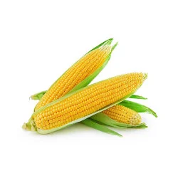 Seminte de porumb zaharat Deliciosul, Agrosem 100g