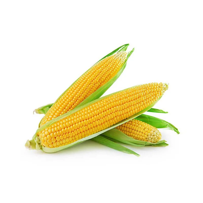 Seminte de porumb zaharat Deliciosul, Agrosem 100g