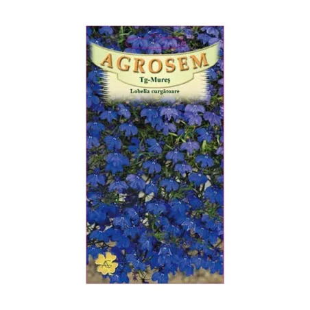 Seminte de lobelia curgatoare, albastra, Agrosem 0.10g
