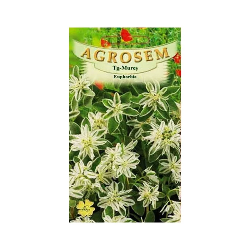 Seminte de flori Euphorbia, Agrosem 0,4g