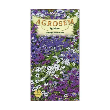 Seminte de flori - Banutei austrelieni, Agrosem 0.10g