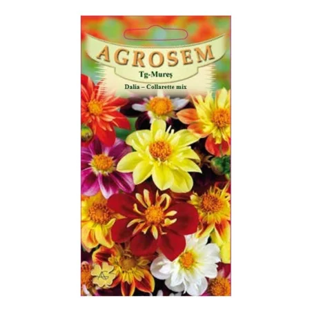 Seminte de flori Dalia - Collarette mix, Agrosem 0,4g