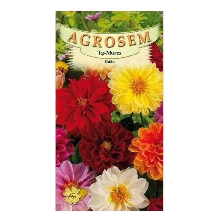 Seminte de flori Dalia, Agrosem 0,5g
