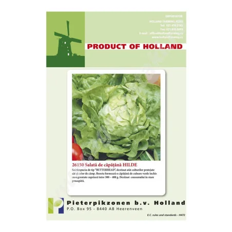 Seminte de salata de capatana 26150 Hilde, Holland Farming 10g