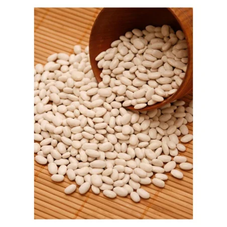 Samanta de fasole pentru boabe, Great Northen 1kg