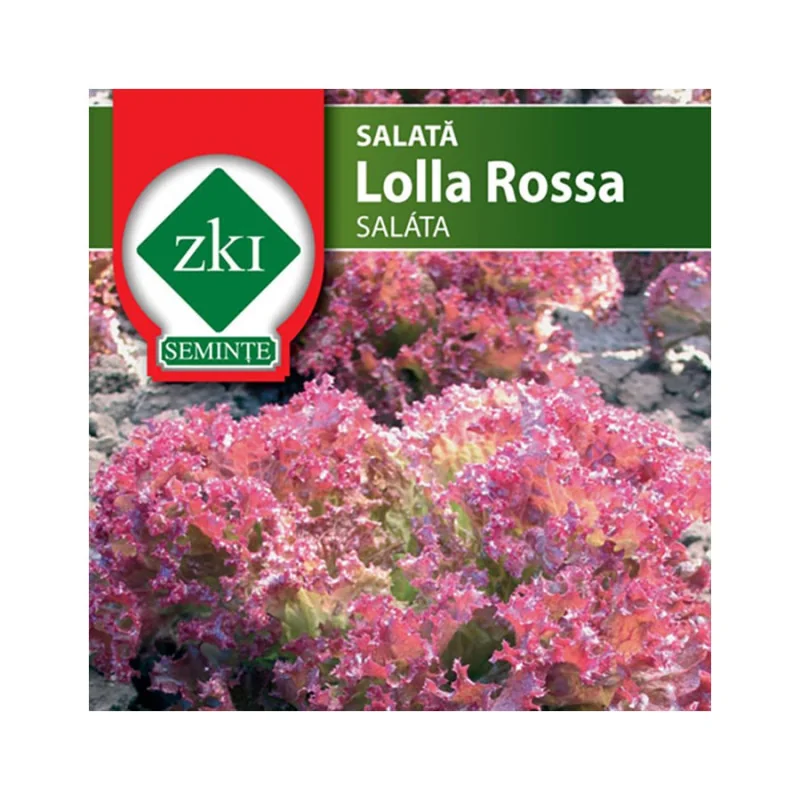 Seminte de salata Lolla Rossa, ZKI 3G