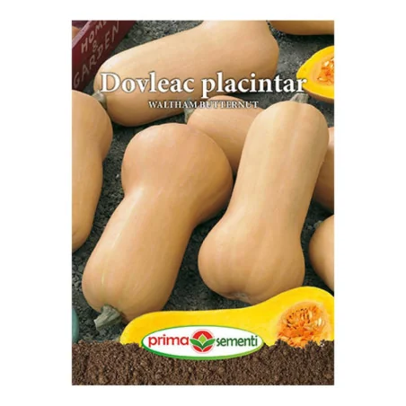 Seminte de dovleac placintar Waltham Butternut, Prima Sementi 2.5g