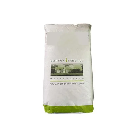 Somodor- Semințe Porumb Marton Genetics- 70.000 Boabe