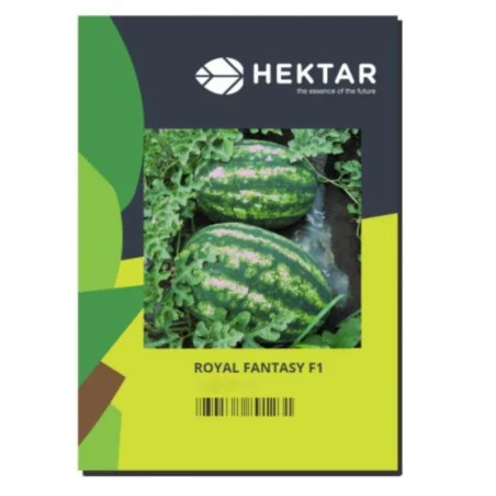 Seminte de pepene verde Royal Fantasy, Hektar 50sem.