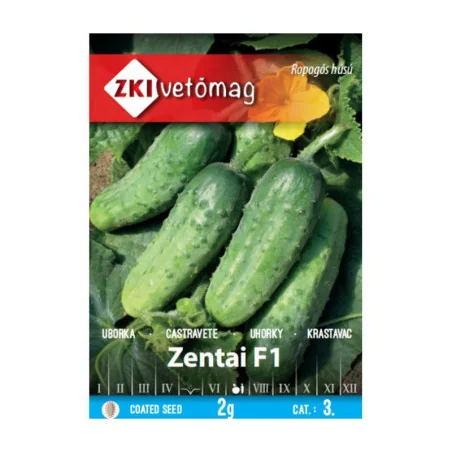 Seminte de castraveti Zentai F1, ZKI 2g