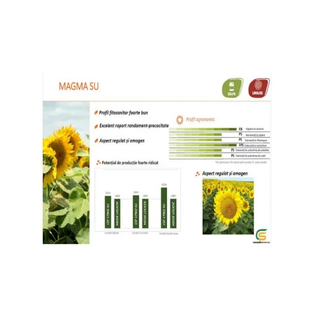 Magma SU -Semințe Floarea Soarelui-150,000 Sem