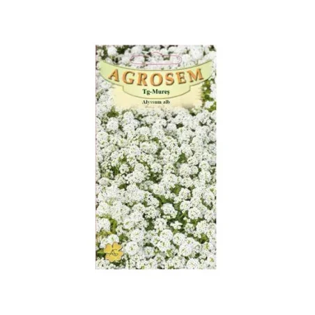 Seminte de flori - Alyssum alb, Agrosem 0.5g