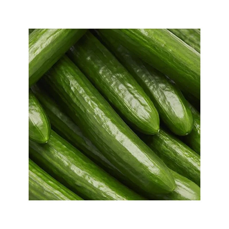 Seminte de castraveti lungi - Long Anglais 1,5g, Agrosem