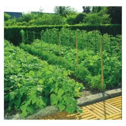 Plasa pentru sustinerea plantelor cataratoare 1.7 x 10m, Nortene