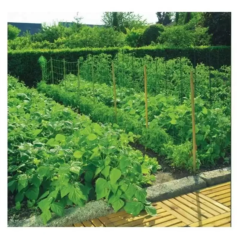 Plasa pentru sustinerea plantelor cataratoare 1.7 x 10m, Nortene