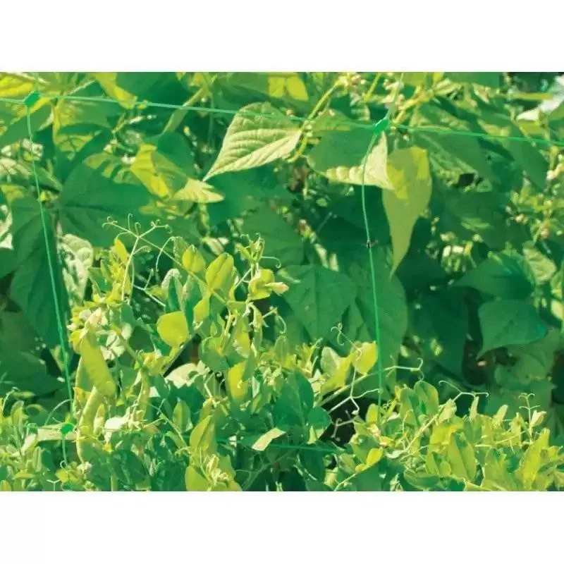 Plasa pentru sustinerea plantelor cataratoare 1.7 x 10m, Nortene