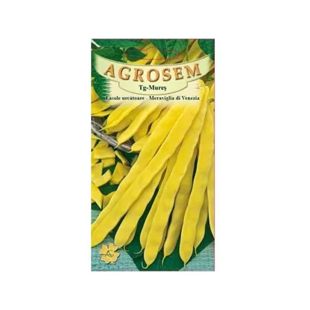 Seminte de Fasole pastai Meraviglia di venezia, Agrosem 10g
