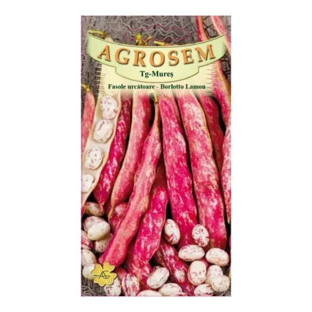 Seminte de fasole boabe - Borlotto Lamon, Agrosem 10g