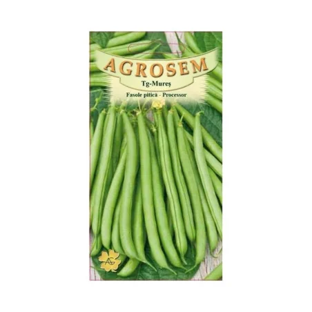 Seminte de fasole pitica Processor, Agrosem 10g
