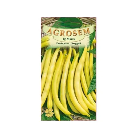 Seminte de fasole pitica Berggold, Agrosem 10g