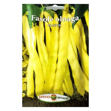 Seminte de fasole lata oloaga Plador, Prima Sementi 70g
